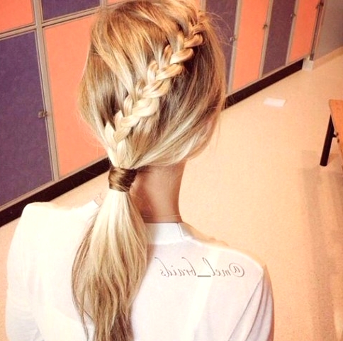 2014 Braided Hairstyles: Cute Braids and Ponytails