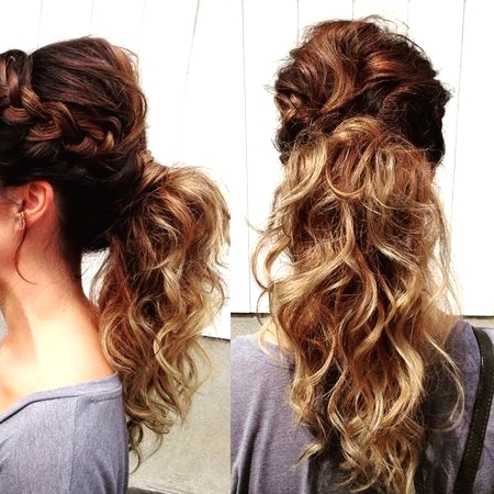 Braided Ponytail for Curly Hair