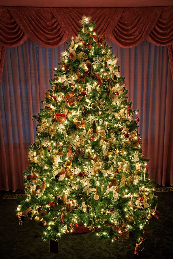 Classic illumination Christmas Tree.