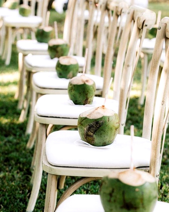 tropical wedding ideas coconut water on each chair