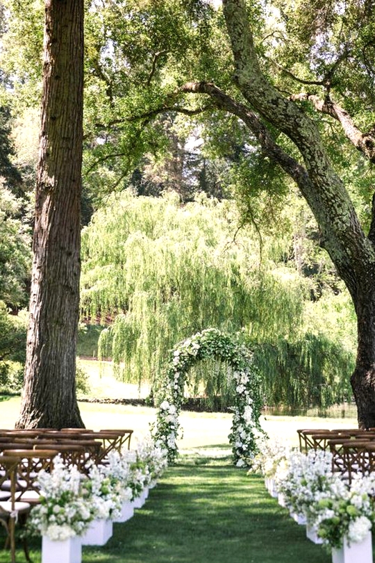 30 Completely Sensible Backyard Wedding ceremony Concepts for 2020