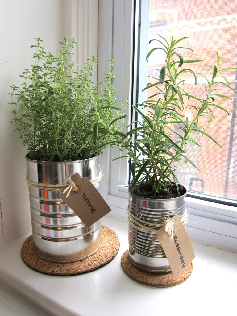 Plants in The Pots Decor Ideas - Kitchen Decor Ideas 