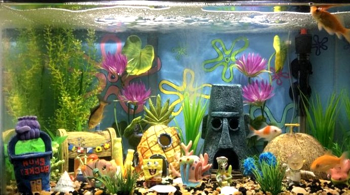 Here's How to Make a Great Aquarium Design