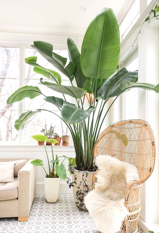 Adorn with wicker and rattan, the development supplies additionally indoors