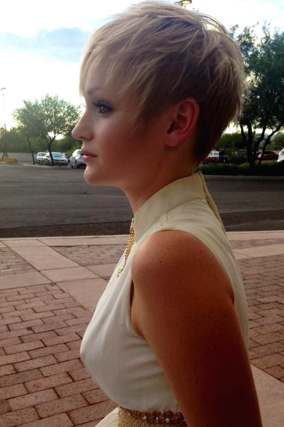 Simple Short Hairstyles for Fine Hair: Short Hair with Blonde Highlights
